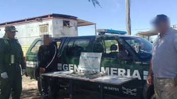 Detuvieron a un hombre por viajar en micro con más de 135 mil dólares