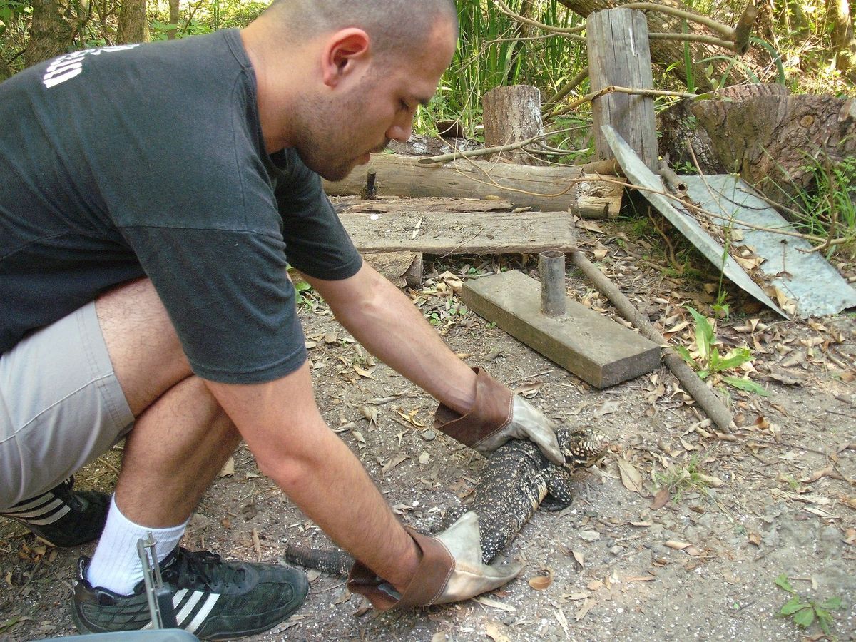 Javier Beruhard, veterinario especialista en cuidado y rehabilitación de fauna silvestre. 