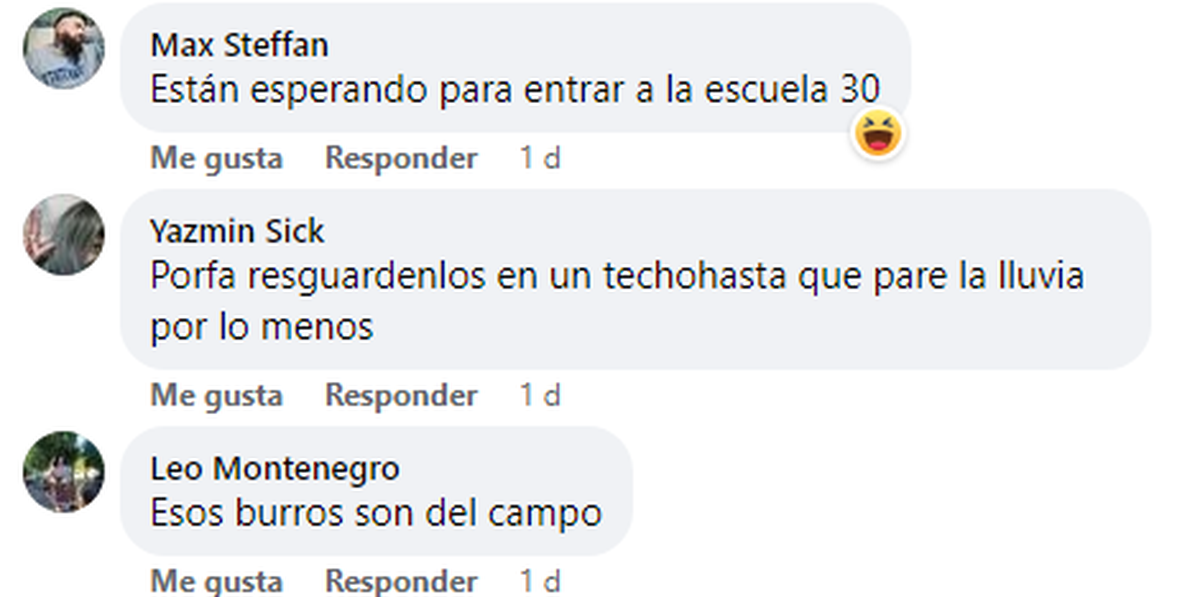 Algunos de los comentarios en el grupo de Facebook de vecinos de 9 de Abril.  