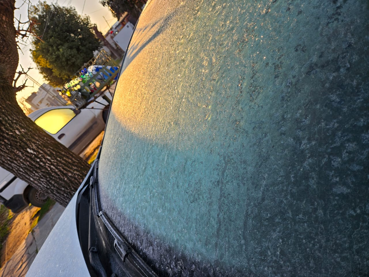 As&iacute; estaban los bebederos de los animales esta ma&ntilde;ana.