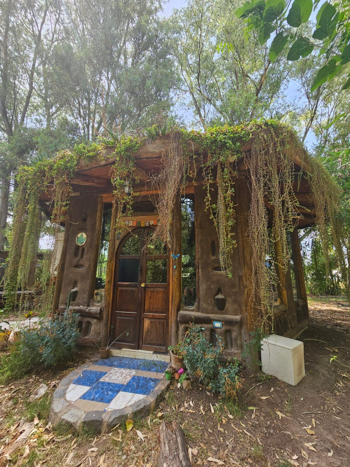 Las casas de barro cuentan con techos vivos donde crecen plantas.