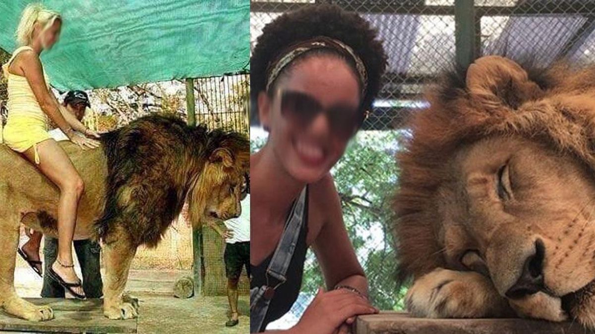 Denunciaron al dueño del zoológico de Luján por maltrato y crueldad animal