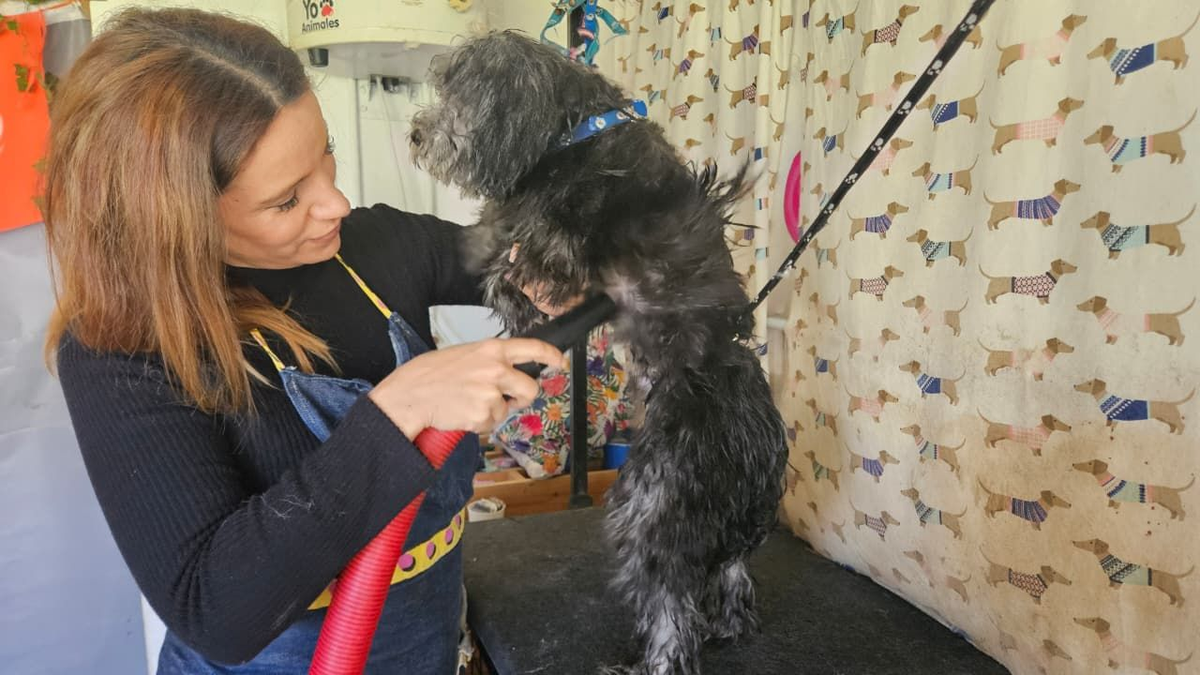 Sol tiene una peluquería canina en San Vicente y otra en Alejandro Korn. Sol tiene una peluquería canina en San Vicente y otra en Alejandro Korn. 