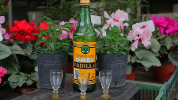En un vivero de Banfield ya tienen todo preparado para dar caña con ruda a sus clientes