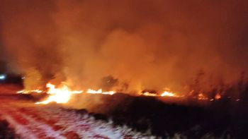 Incendio de pastizales en Lomas: se quemó una importante superficie
