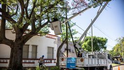 Almirante Brown: realizaron podas y despeje de luminarias en Pasaje Estrada