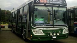 habilitaran viajes gratuitos para estudiantes de la universidad de lanus: que lineas de colectivos adhieren