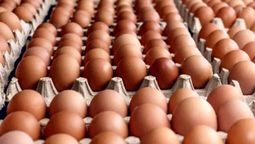 alertan por contrabando de miles de maples de huevos desde paises limitrofes