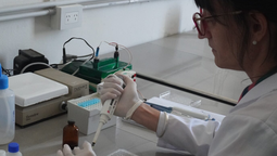 kicillof se diferencia de milei y aumenta las becas para investigacion cientifica