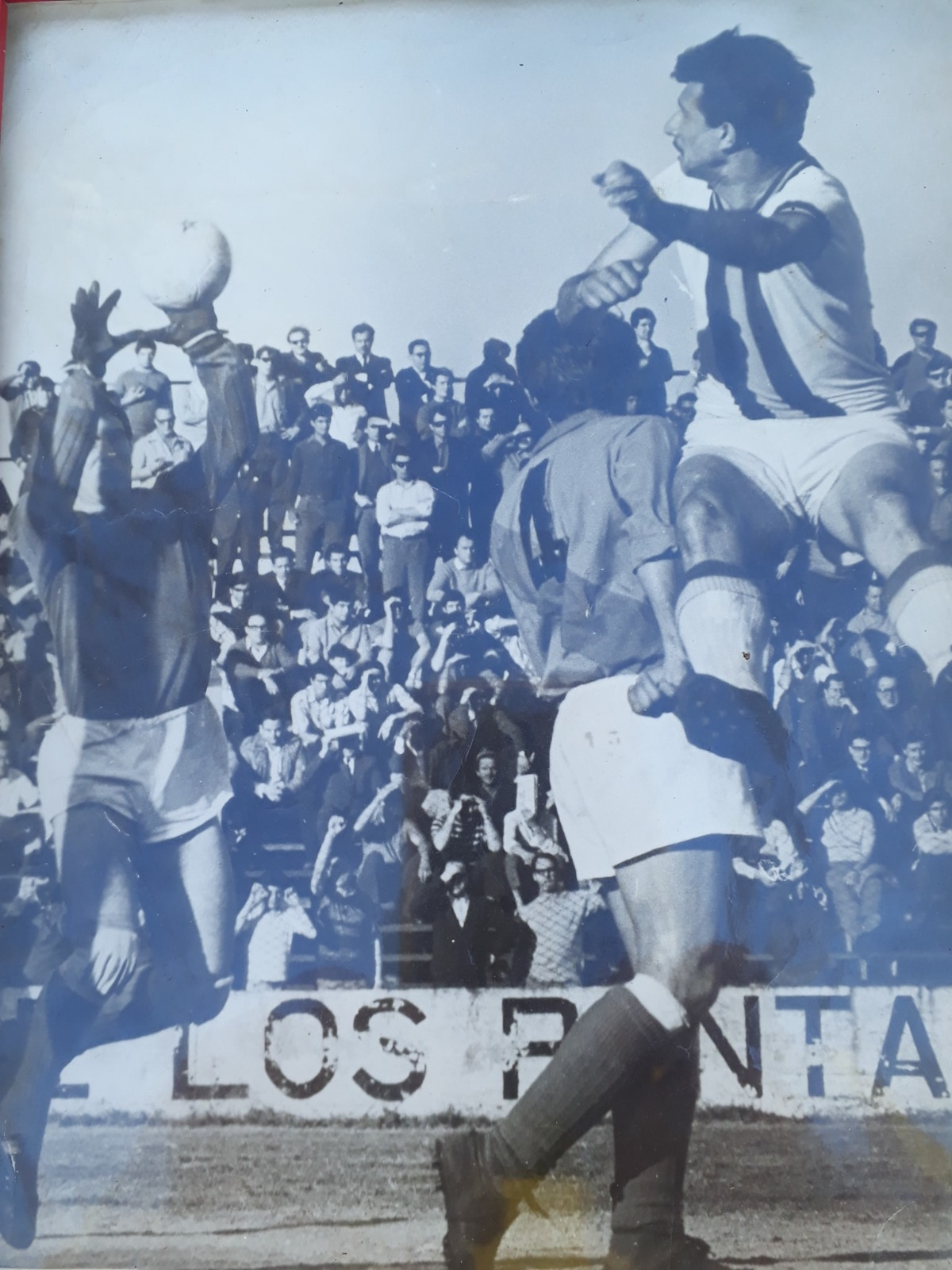 "El Narig&oacute;n" naci&oacute; en San Vicente en 1947.