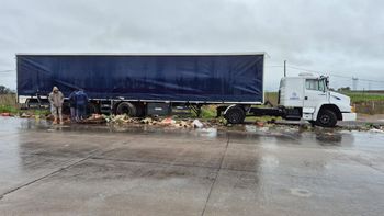 Camión despistó en la Ruta 16 a metros de la Ruta 58: la mercadería quedó volcada