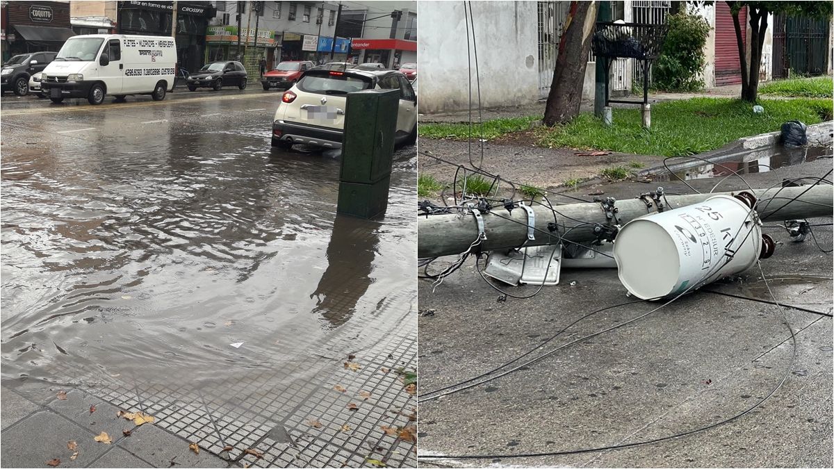 Diluvio en Lomas de Zamora: calles anegadas con caída de postes y árboles