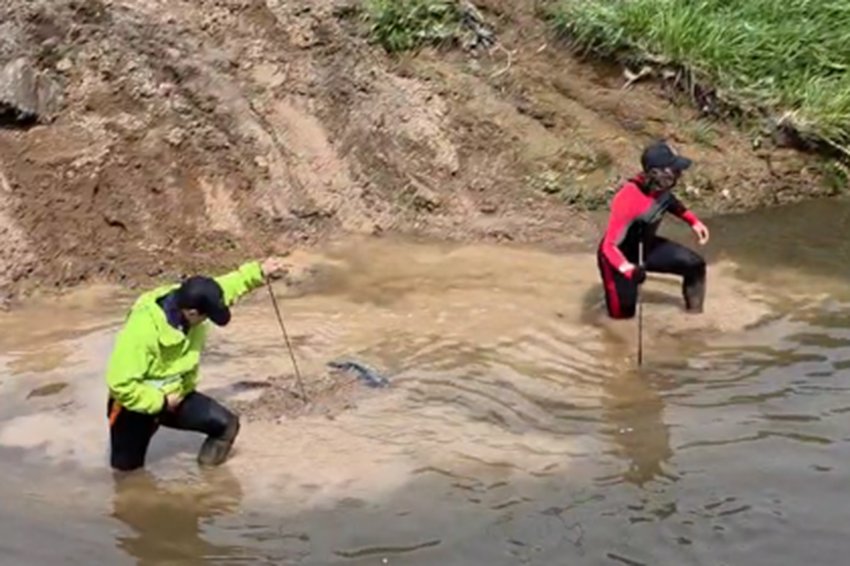 El operativo de rastrillaje en un arroyo de Ezeiza.&nbsp;