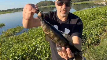 Pesca en la laguna de San Vicente: un vecino siembra peces y asegura que ya se ven los resultados
