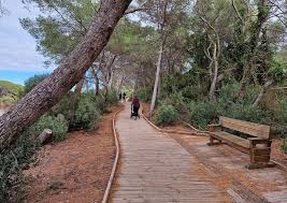 Las visitas guiadas y recorridos por entornos naturales, como senderos y circuitos ambientales, integran la oferta de actividades gratuitas en varios municipios bonaerenses.