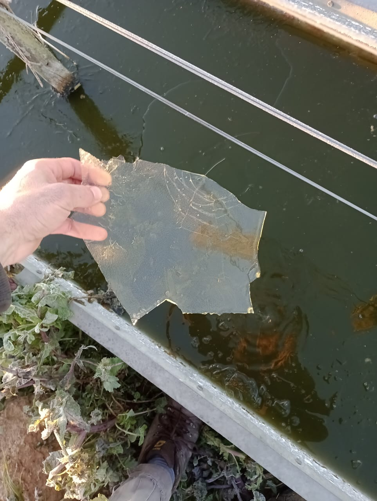 Muchos bebederos de agua de los animales se congelaron. 