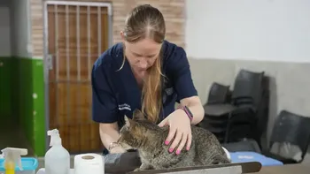 El Hospital de Animales vuelve a los barrios de Lomas con operativos gratuitos