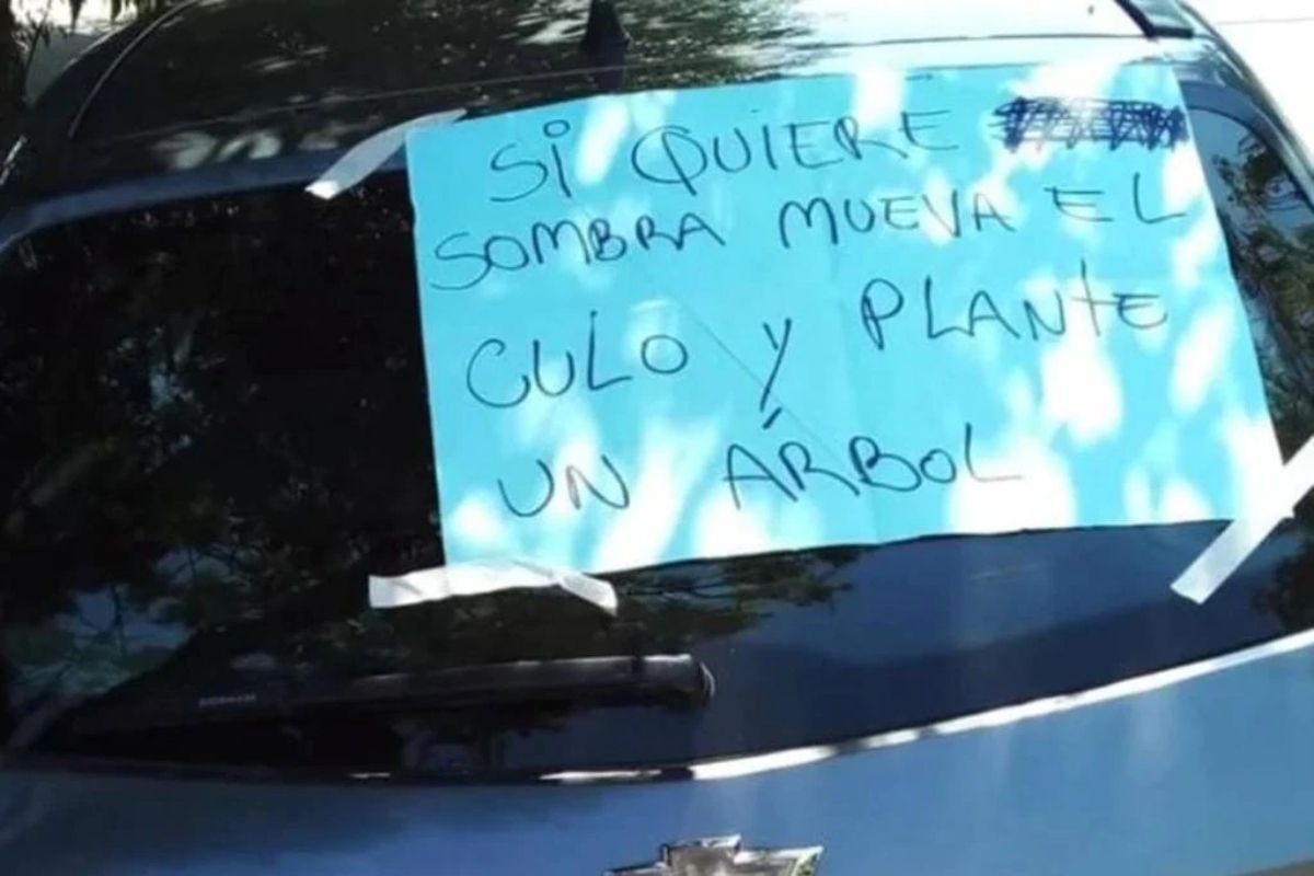 Estacionó mal el auto y le dejaron un cartel: Si quiere sombra, mueva el culo y plante un árbol