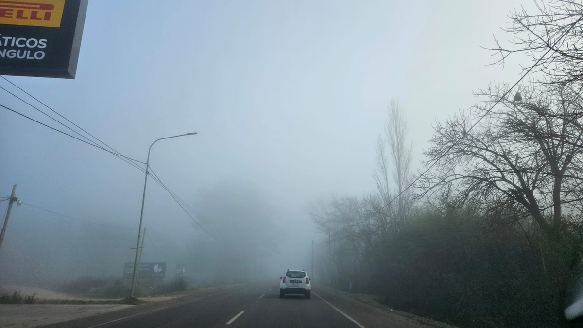 También alertan por la baja visibilidad en aeropuertos y rutas debido a la niebla.