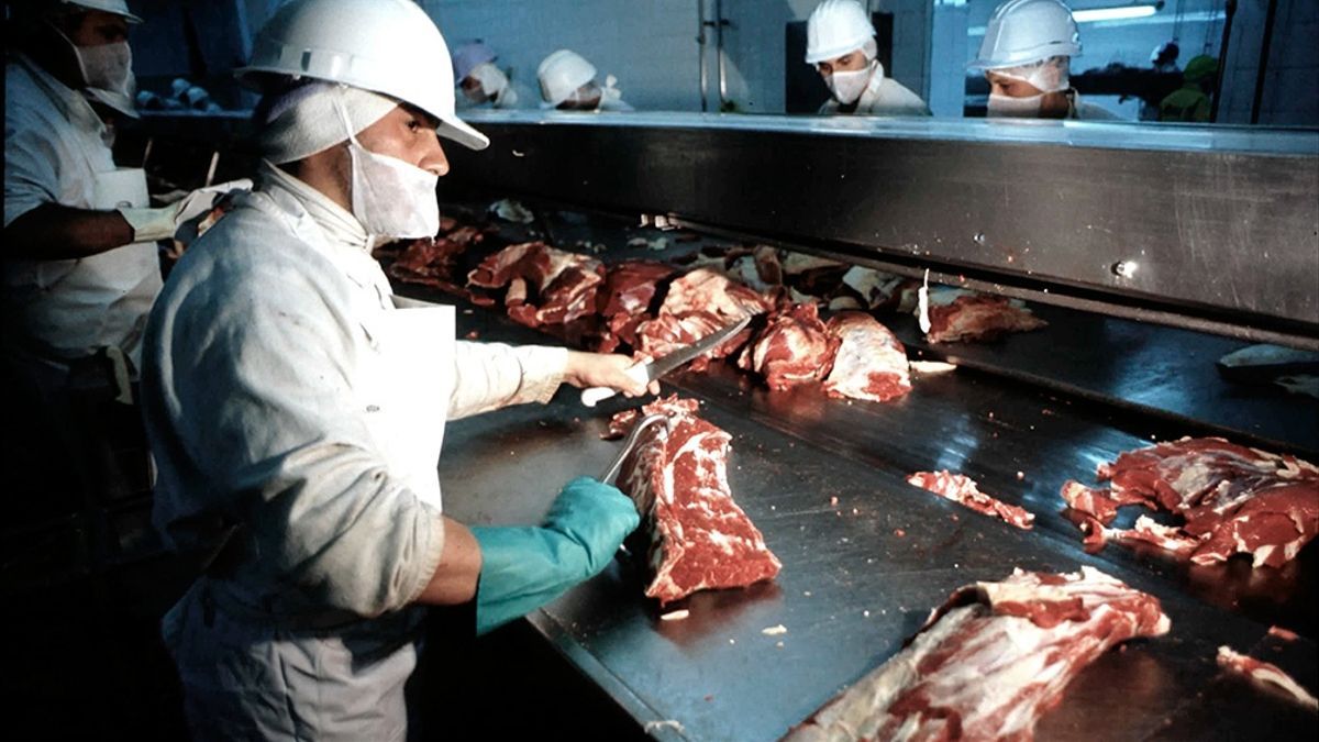 El gobierno suspende la exportación de carne y los productores deciden no comercializar