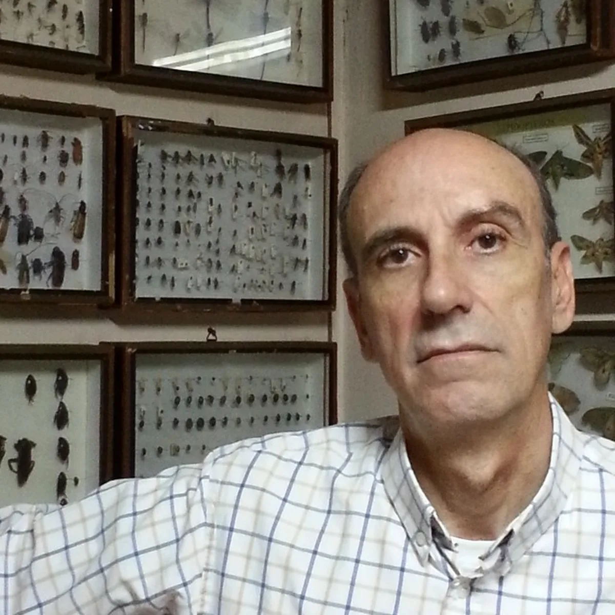 Guillermo Mariategui, experto en insectos de la Universidad Nacional de Lomas de Zamora.