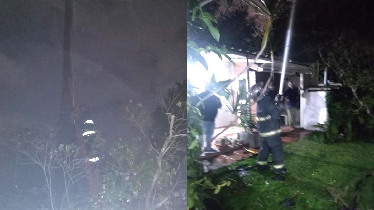 Bomberos trabajando para apagar el incendio de la palmera en Temperley.