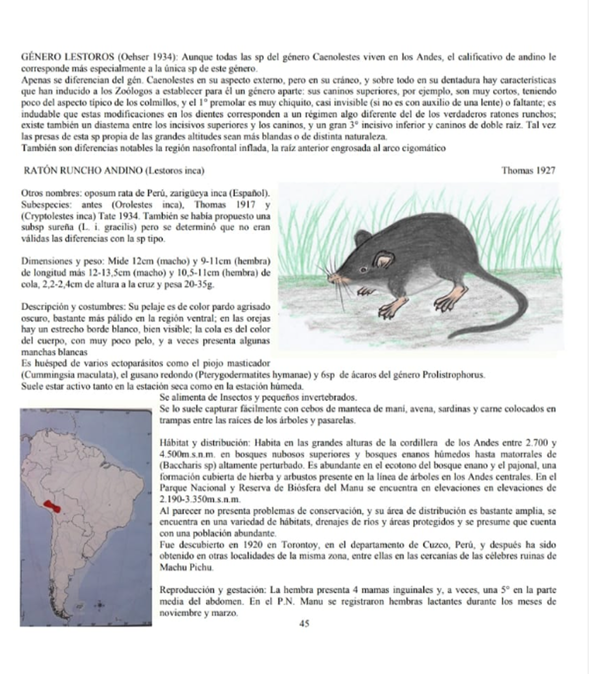 Una de las p&aacute;ginas del libro.