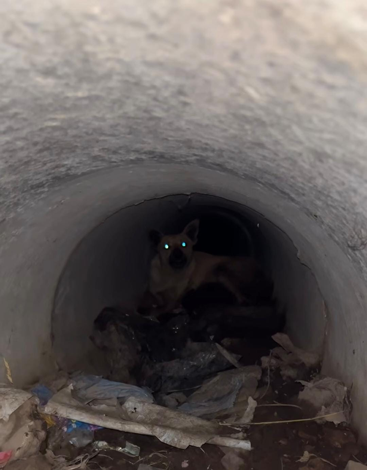 As&iacute; se encontraban en la ca&ntilde;er&iacute;a de Almirante Brown.