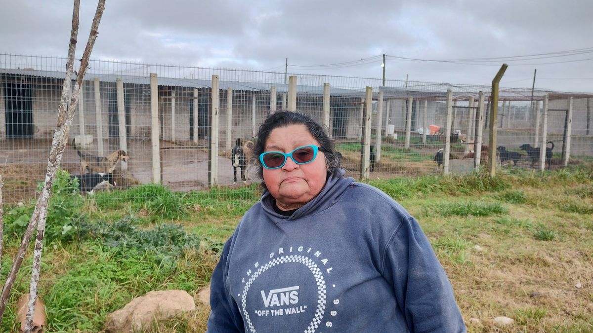La vecina de Domselaar que sostiene un refugio a pulmón: Nadie adopta a los perros negros