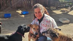 dia del veterinario: la tarea de marcela, que atiende a los perros de el campito refugio de monte grande