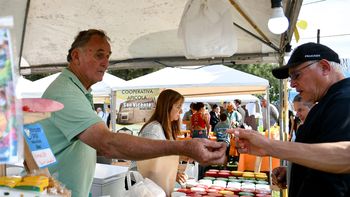 Ya se vive la Fiesta Regional de la Miel en San Vicente: las opciones para los visitantes