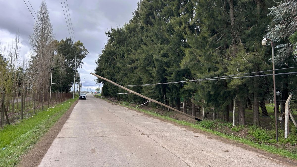 El poste caído en la calle El Deslinde. 