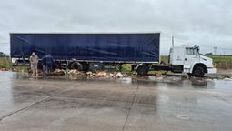 camion despisto en la ruta 16 a metros de la ruta 58: la mercaderia quedo volcada