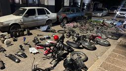 allanamientos por robos en alejandro korn: incautaron armas, drogas y caballos maltratados