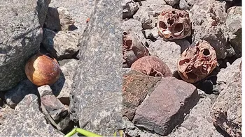 Encontraron 17 cráneos humanos en la Ribera de Quilmes