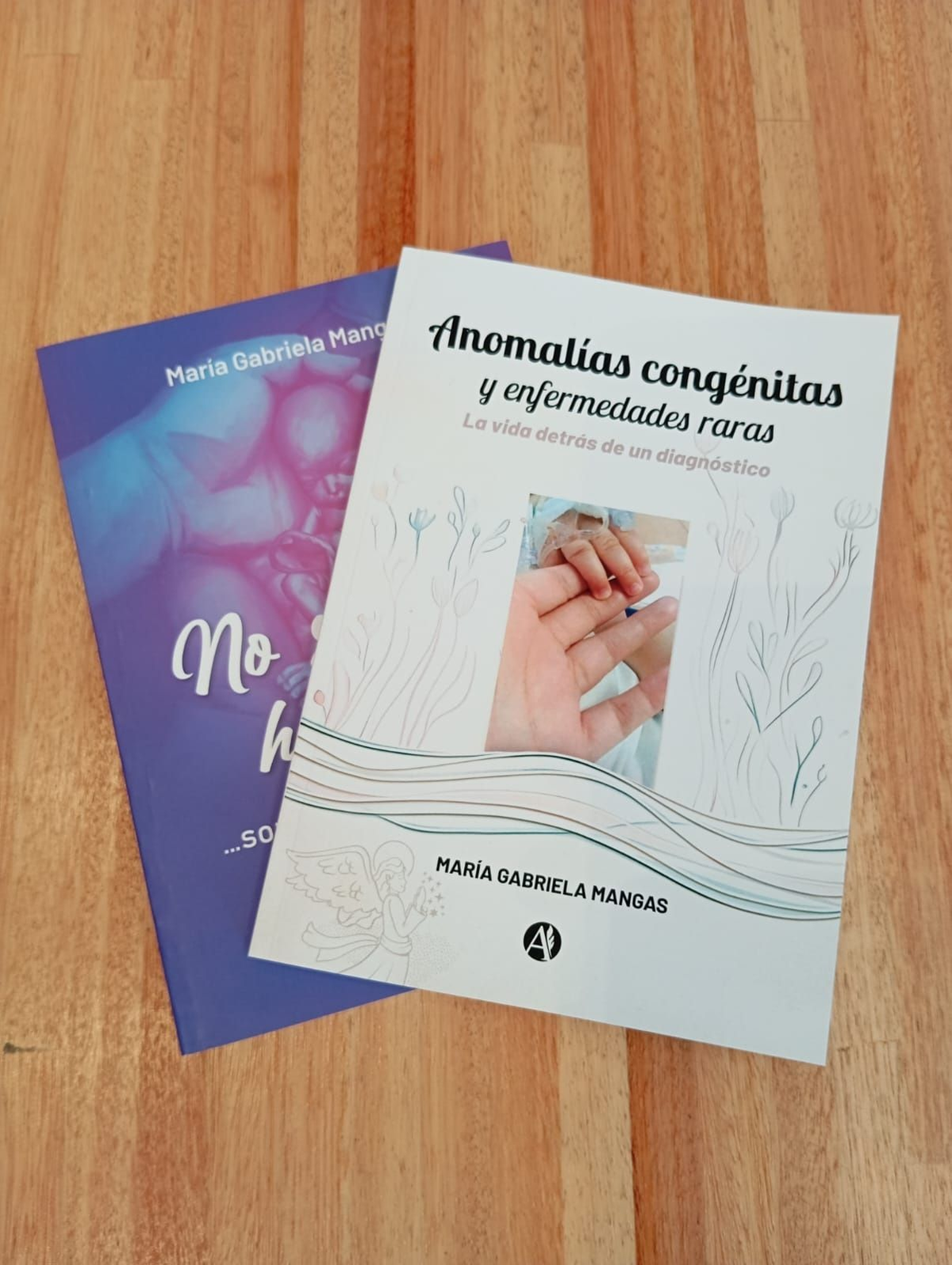 El nuevo libro de la vecina de Luis Guillón.