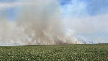 Incendio masivo de campos en la zona de la Ruta 52 entre Canning