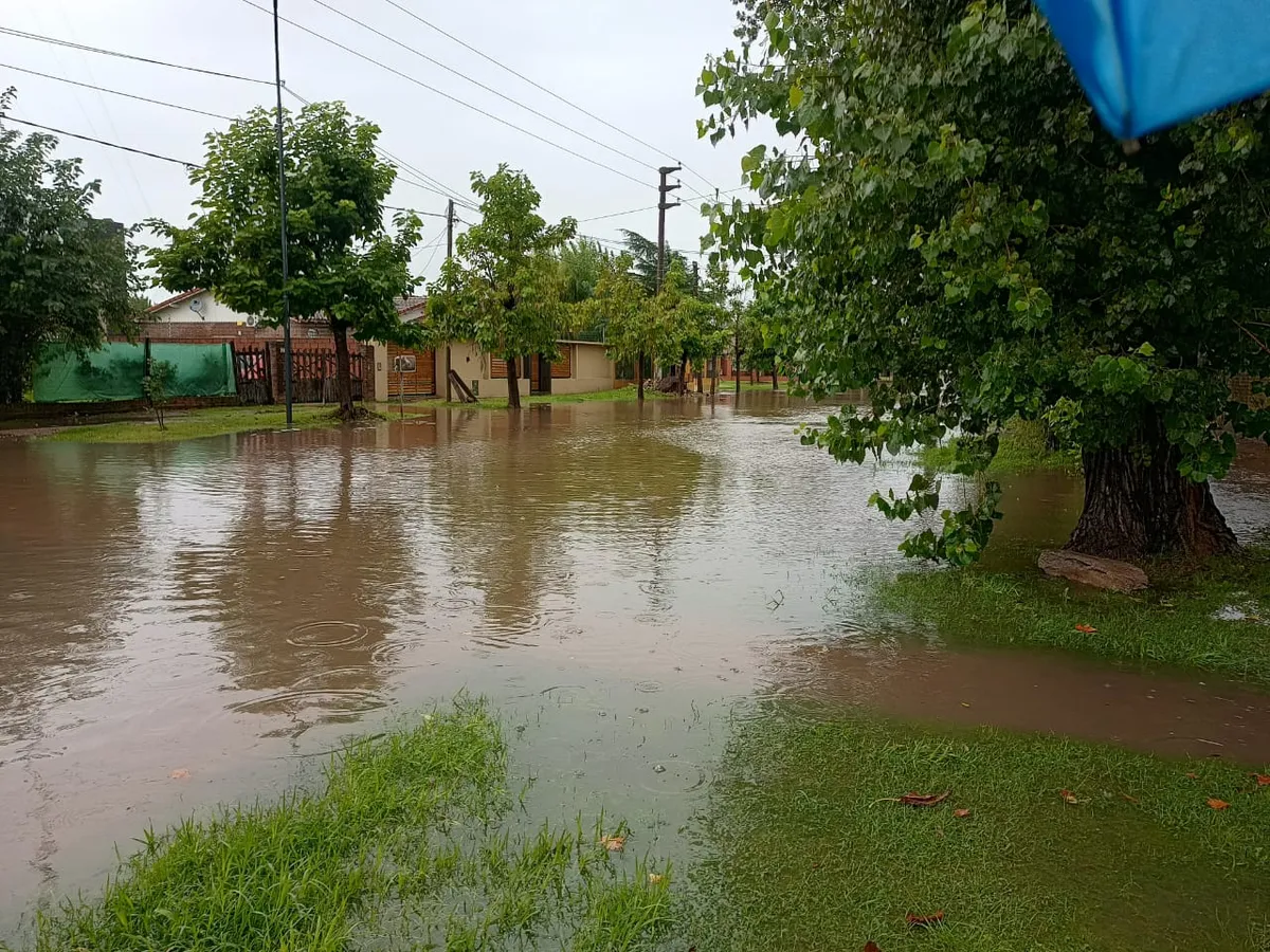La avenida Almirante Brown. La avenida Almirante Brown.