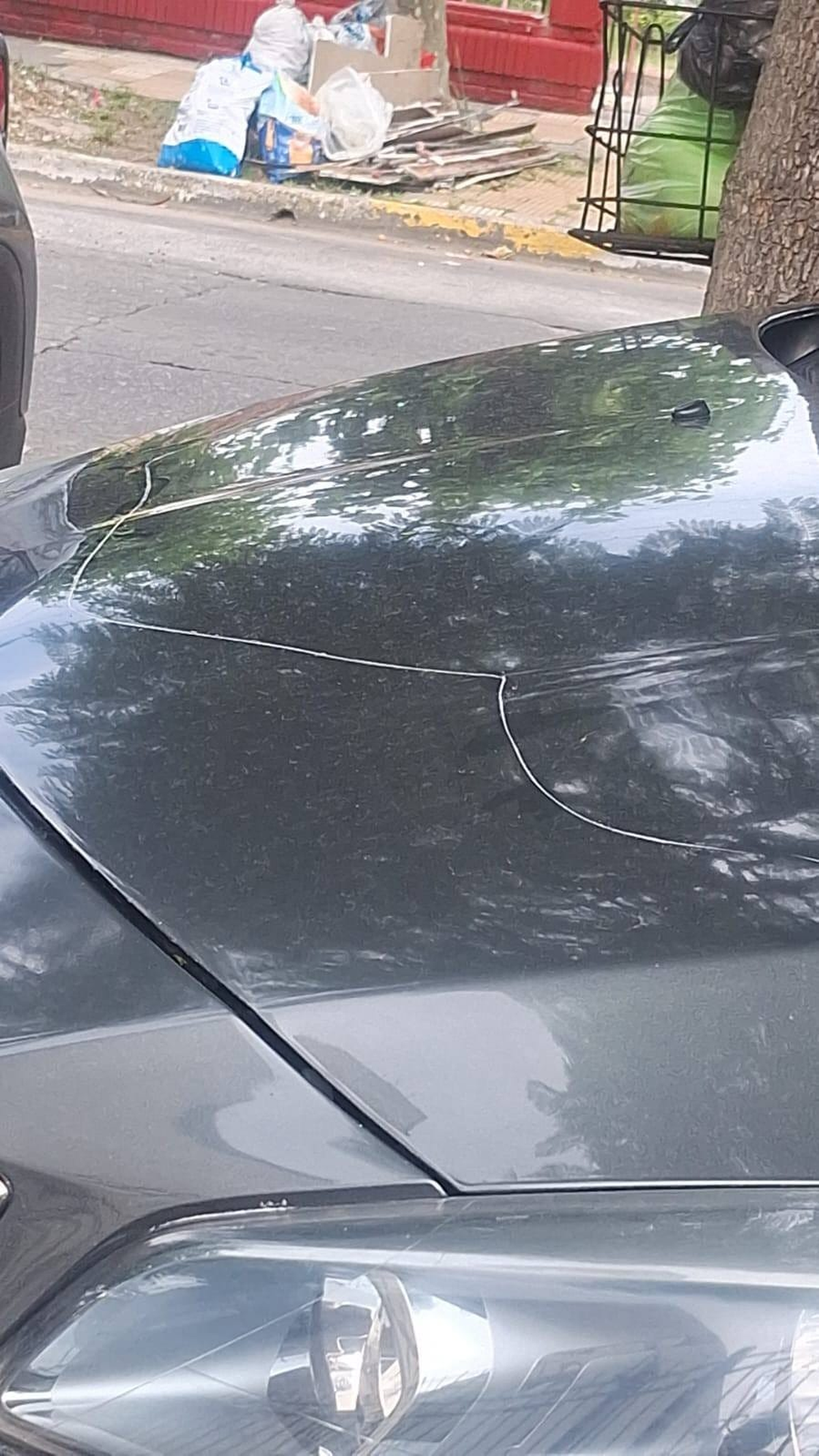 Los rayones de los autos de Banfield.