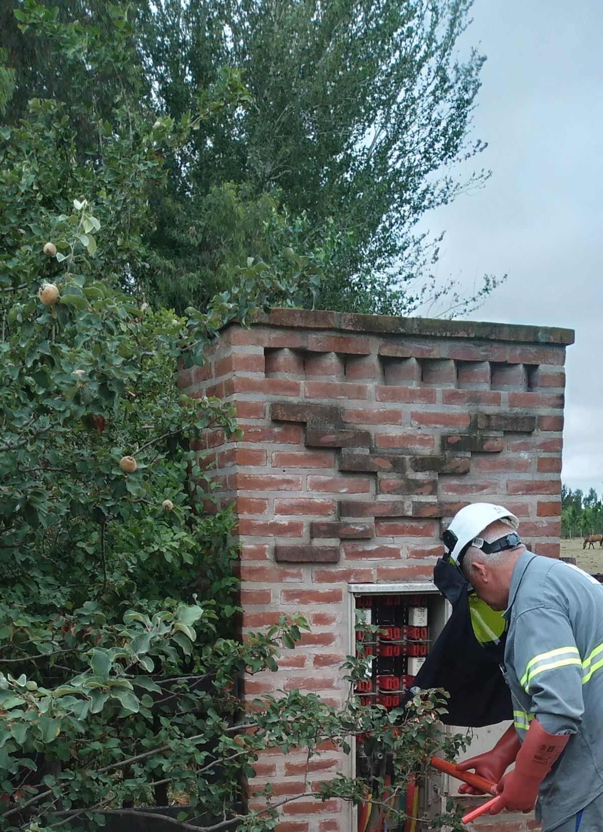 Operativo de Edesur en el country La Dolfina.