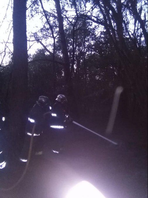 Bomberos de Lomas de Zamora apagan el incendio en la Reserva Santa Catalina.