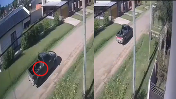 Familia de San Vicente denuncia el secuestro de su perro: Nos ofrecieron comprarnos otro