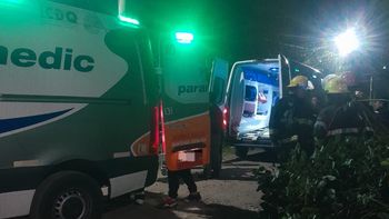Glew: un hombre cayó de un árbol y fue hospitalizado