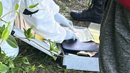 Hallaron muerto a un ex juez de Paz de Ranchos en Ensenada: investigan un presunto suicidio