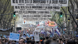 la voz de los universitarios y familiares de pacientes del garrahan que se manifestaron en el congreso