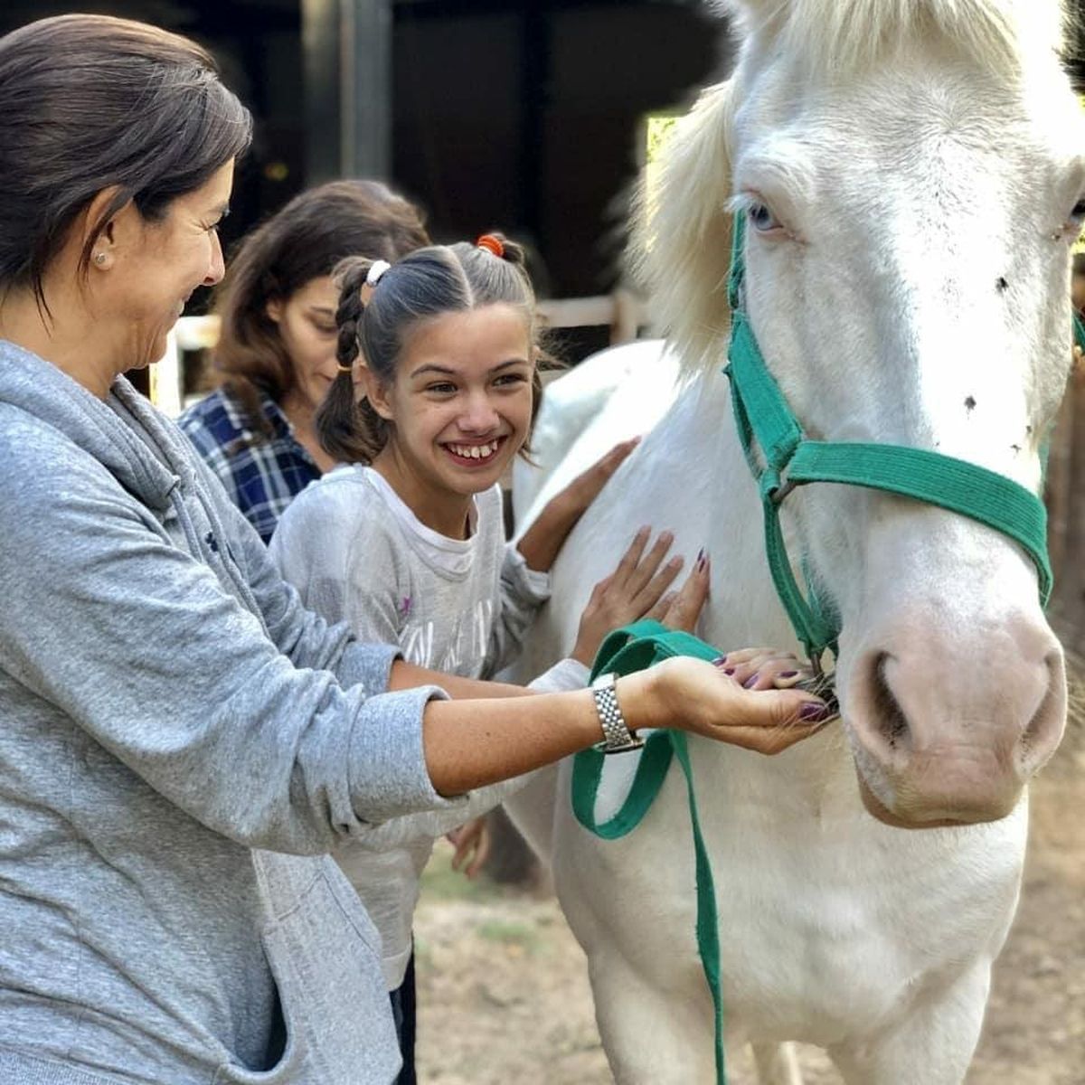 El entrenamiento de caballos para equinoterapia es una de las actividades del centro educativo de San Vicente.