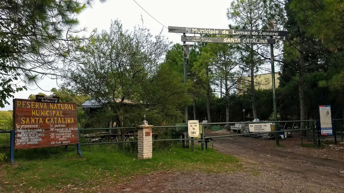 El curso incluye clases teóricas en la Reserva Santa Catalina y salidas de observación en distintos puntos del distrito como el Parque Finky