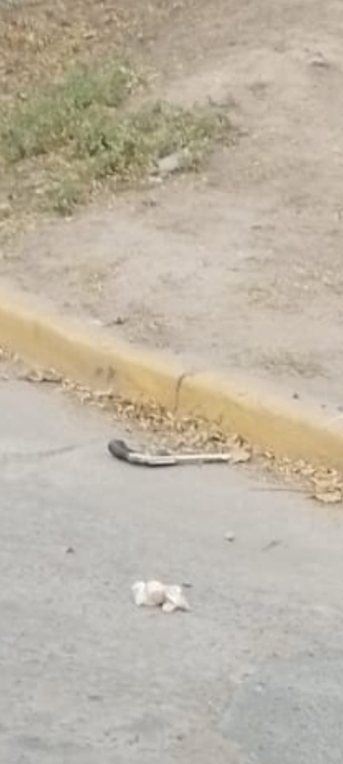 El arma con la que el policía le disparó al delincuente. 