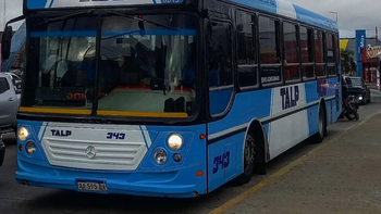 La Línea 338 suma un nuevo ramal para unir el sur del conurbano bonaerense con La Plata