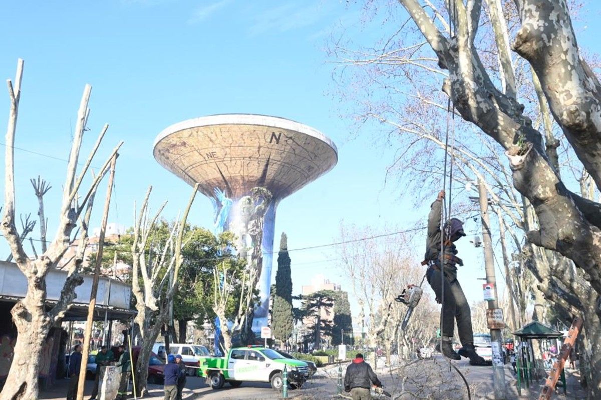 Monte Grande: poda y despeje de luminarias en el centro de la ciudad